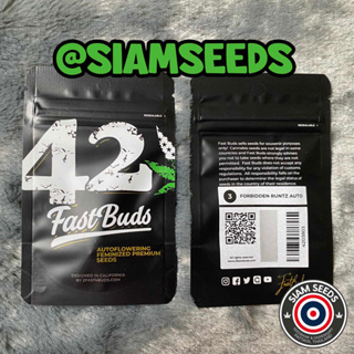 เมล็ดกัญชา Fastbuds Forbidden Runtz Auto Cannabis Seeds (Pack of 3)