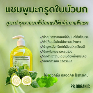 แชมพูมะกรูดใบบัวบก สูตรบำรุงรักษารากผมที่อ่อนแอให้กลับมาแข็งแรง ขนาด500ml.