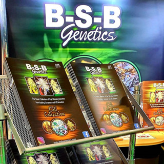 [แบ่งแพ็ค] - BSB Genetics โฟโต้และออโต้