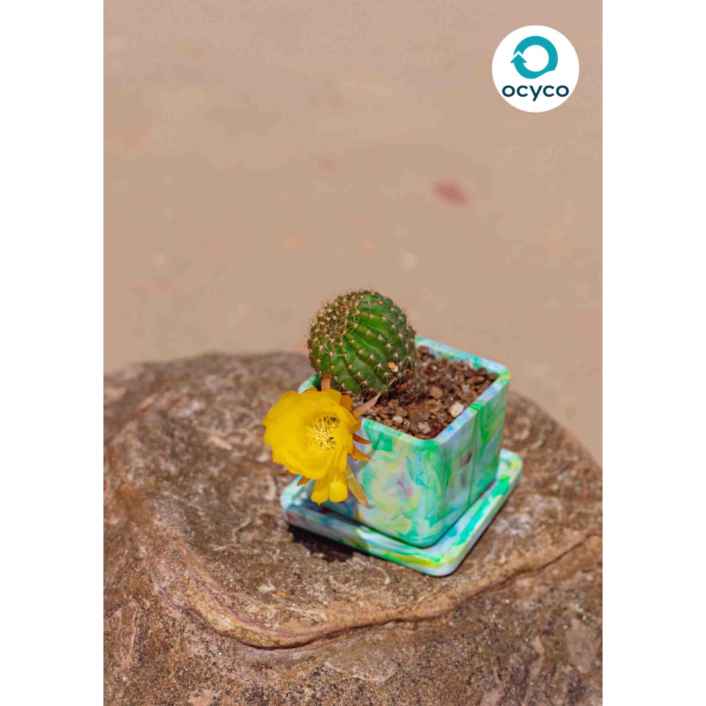 กระถางต้นไม้จากฝาขวดน้ำขยะทะเล (Upcycling plant pot)