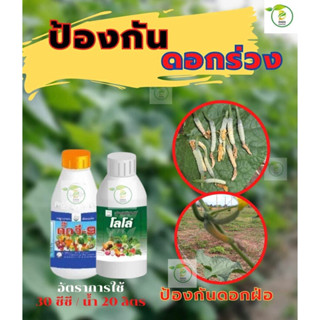ชุดป้องกันดอกร่วง โลโล่ จี9
