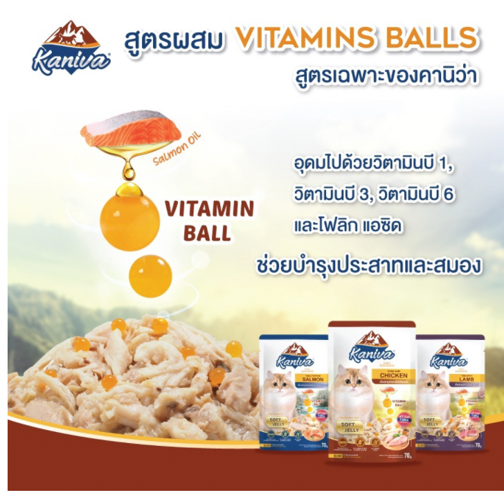 ยกโหล หรือลัง Kaniva Wet Food เพาซ์ อาหารแมวkanivaแบบเปียก