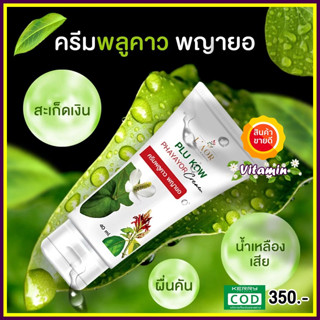 ส่งฟรี สมุนไพรพลูคาว 2 หลอด แถมสบู่สมุนไพรป่าครีมพลูคาว พญายอ Plu Kow Phayayor Cream สมุนไพร แก้ กลาก เกลื้อน สะเก็ดเงิน