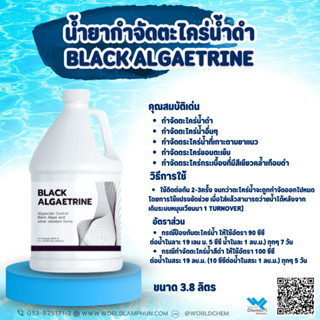 น้ำยากำจัดตะไคร่น้ำดำ Black Algaetrine