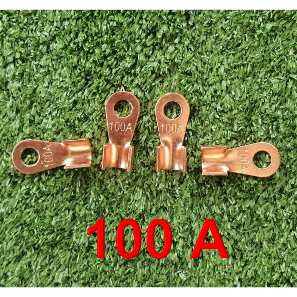 หางปลาทองแดง 100A&150A อย่างดี