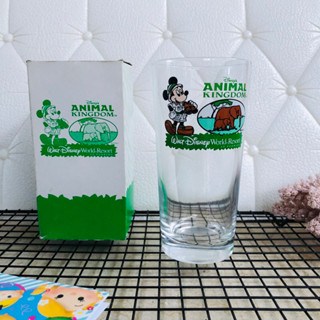 แก้วน้ำ Walt Disney World Resort in FLORIDA ลาย Animal Kingdom มือสอง จากญี่ปุ่น