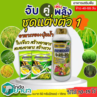 🌾 ชุดแต่งตัว1 เกรทพาวเวอร์ (0-25-30)+นูโปรมิกซ์-แมกนีเซียม ขนาด 1ลิตร+50กรัมx2ซอง ใบเขียว สร้างอาหารสะสมอาหาร