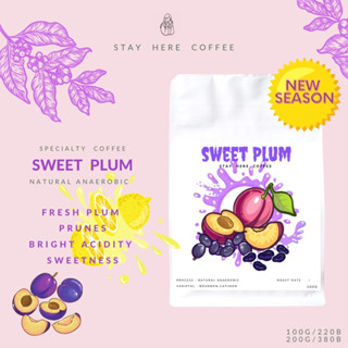 เมล็ดกาแฟคั่วอ่อน Sweet Plum (ฤดูกาลใหม่2022/2023)