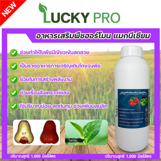 แมกนีเซียมอาหารเสริมฮอร์โมนพืช1,000ML.แก้ใบเหลืองกระตุ้นให้พืชสังเคราะห์แสงต้นใบสีสวย LUCKY PRO เร่งใบเขียวสะสมอาหาร