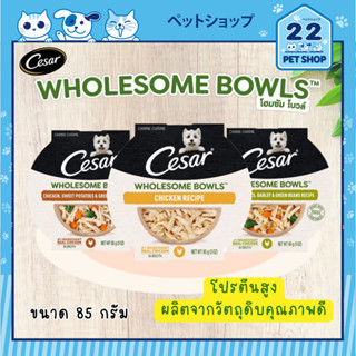 Cesar WHOLESOME BOWLS Wet Dog Food อาหารเปียกสุนัข โปรตีนสูงผลิตจากวัตถุดิบ คุณภาพดี ขนาด 85 g