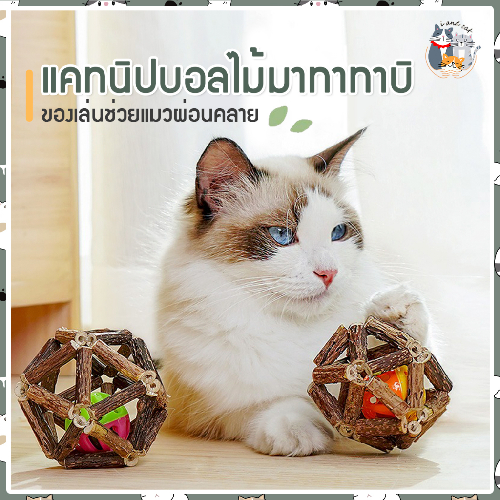 I&CAT แคทนิปบอล กระดิ่งไม้มาทาทาบิ กัญชาแมว ลูกบอลแมว ของเล่นแมว กล่องไม้มาทาทาบิ ลูกอบลของเล่น ช่วยให้น้องแมวผ่อนคลาย