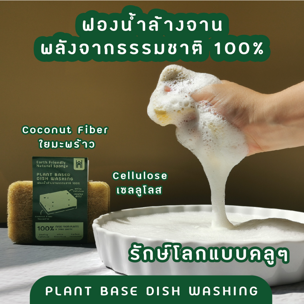 eco-friendly ฟองน้ำล้างจาน ธรรมชาติ ทำจากใยมะพร้าว และเซลลูโลส ย่อยสายได้ ใช้ล้างขวดนม สก็อตไบร์ท