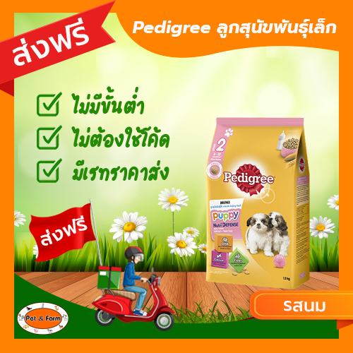อาหารสุนัขเพดดีกรี Pedigree รสนม (ขนาด1.3 กก.) สำหรับลูกสุนัขพันธุ์เล็ก [ส่งฟรีไม่ต้องใช้โค้ด!!]