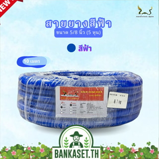 สายยางน้ำ ตราพญานาคสีฟ้า 5/8 (5หุน) ขนาด 10 เมตร