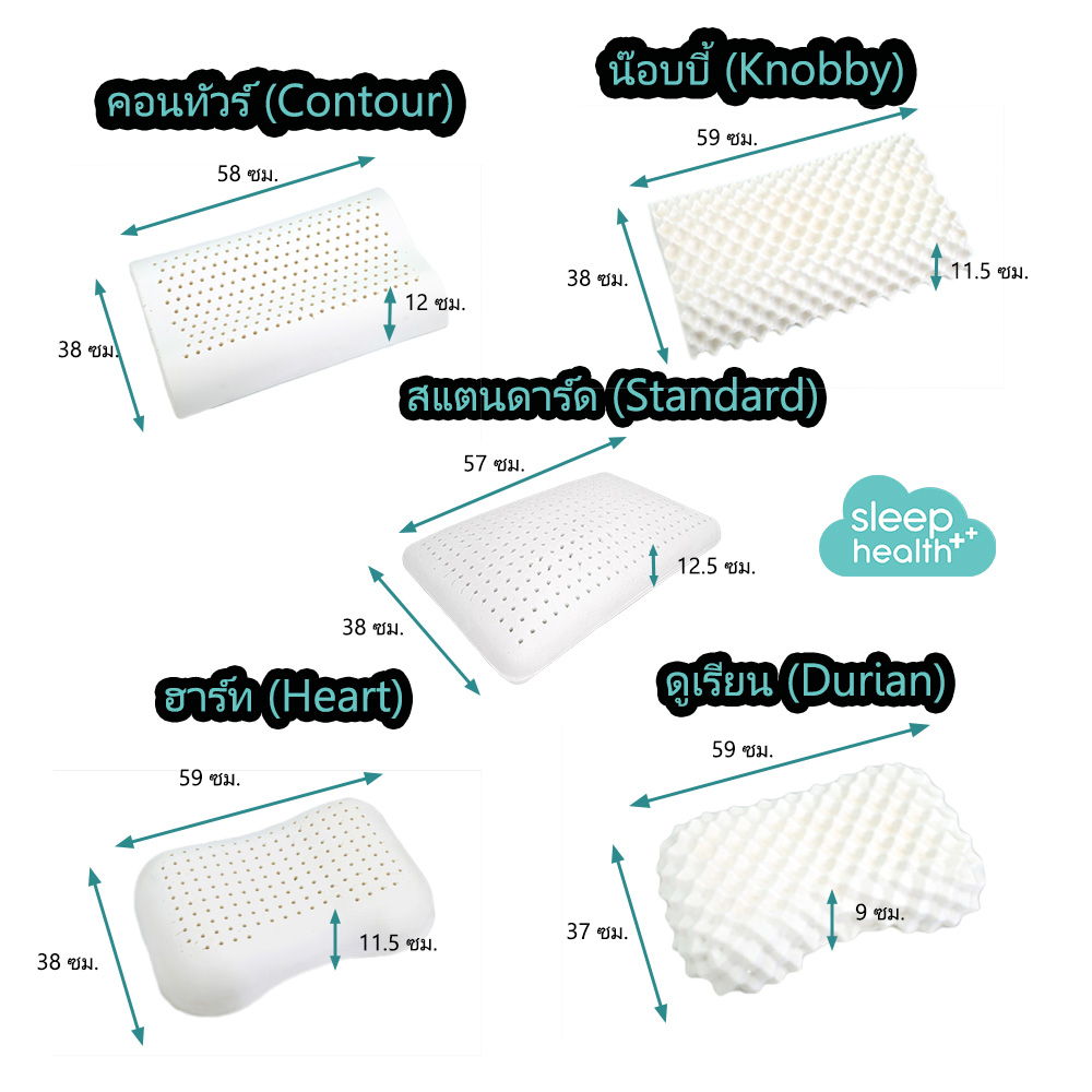 Sleephealth ปลอกหมอนยางพาราผู้ใหญ่ สีขาวนวล Sleep Health รูปที่ 8