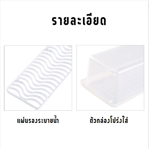🥝กีวีน่ารัก🥝 กล่องถนอมอาหาร กล่องเก็บอาหาร กล่องเก็บอาหารในตู้เย็น มีถาดระบาย พร้อมฝาปิด - รูปที่ 3