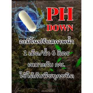 🔥พร้อมส่ง🔥 PH DOWN ปรับค่ากรด-ด่าง ของน้ำ อะมิโนเข้มข้นปรับสภาพน้ำ ลดค่า pH ปรับสภาพน้ำ