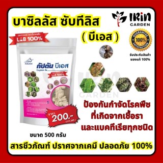 บีเอส บาซิลลัส ซับทิลิส กัปตันบีเอส ของแท้ 500 กรัม 100% ป้องกันกำจัด โรคพืชที่เกิดจากเชื้อรา แบคทีเรีย