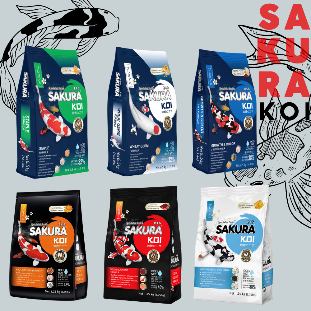 Sakura koi ขนาด1.25 kg และ Boost Koi ขนาด 1.5 kg อาหารปลาซากุระ และบูทส์โค่ย สูตรพรีเมี่ยม อาหารปลาคาร์ฟ MaydayGadget