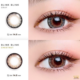 คอนแทคเลนส์ Blink Blink gray &amp; Brown  ตาโต คม สวย ดูมีมิติ💖