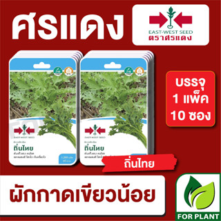 เมล็ดพันธุ์ผัก ผักซอง เขียวน้อย ถิ่นไทย F1 ตราศรแดง บรรจุแพ็คล่ะ 10 ซอง ราคา 230 บาท