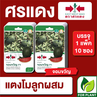 เมล็ดพันธุ์ผัก ผักซอง แตงโม จอมขวัญ F1 ตราศรแดง บรรจุแพ็คล่ะ 10 ซอง ราคา 230 บาท