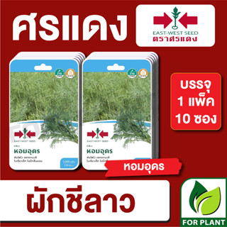 เมล็ดพันธุ์ผัก ผักซอง ผักชีลาว หอมอุดร F1 ตราศรแดง บรรจุแพ็คล่ะ 10 ซอง ราคา 230 บาท