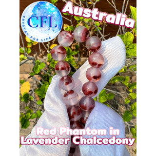 Red Phantom in Lavender Chalcedony กำไลหินแท้โป่งข่ามแดงในลาเวนเดอร์คาลซิโดนี สีม่วงแดง เม็ดหิน(8-8.5 มม.) สร้อยข้อมือ