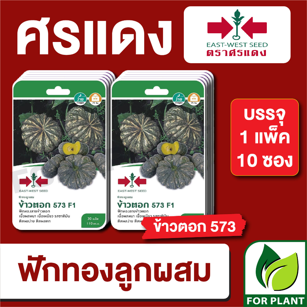 เมล็ดพันธุ์ผัก ผักซอง ฟักทอง ข้าวตอก F1 ตราศรแดง บรรจุแพ็คล่ะ 10 ซอง ราคา 300 บาท