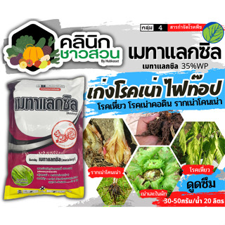 🥬 เมทาแลกซิล (ตรากระรอกแดง) 1กิโลกรัม (เมทาแลกซิล25WP) ป้องกันเชื้อรา โรคเน่า โรคราน้ำค้าง