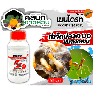 🥬 เชนไดร้ท์ สเตดฟาส30SC บรรจุ 250ซีซี ป้องกันและกำจัดปลวก มอด มดและแมลงอื่นๆ