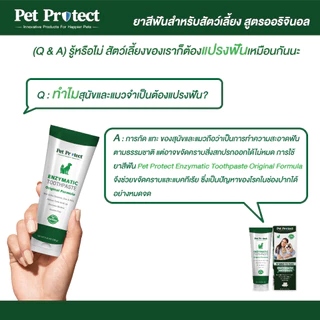 [00432] Pet Protect Toothpaste ยาสีฟัน ยาสีฟันผสมเอนไซม์ ควบคุมหินปูนพิเศษ ลดกลิ่นปาก สำหรับสุนัขและแมว (100 กรัม/หลอด)