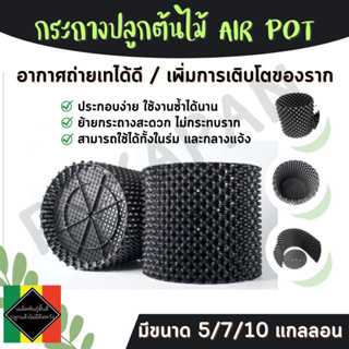 กระถางต้นไม้ กระถางดอกไม้ Air Pot( AP ) พลาสติก เกรด HDPE  ของแท้!!!