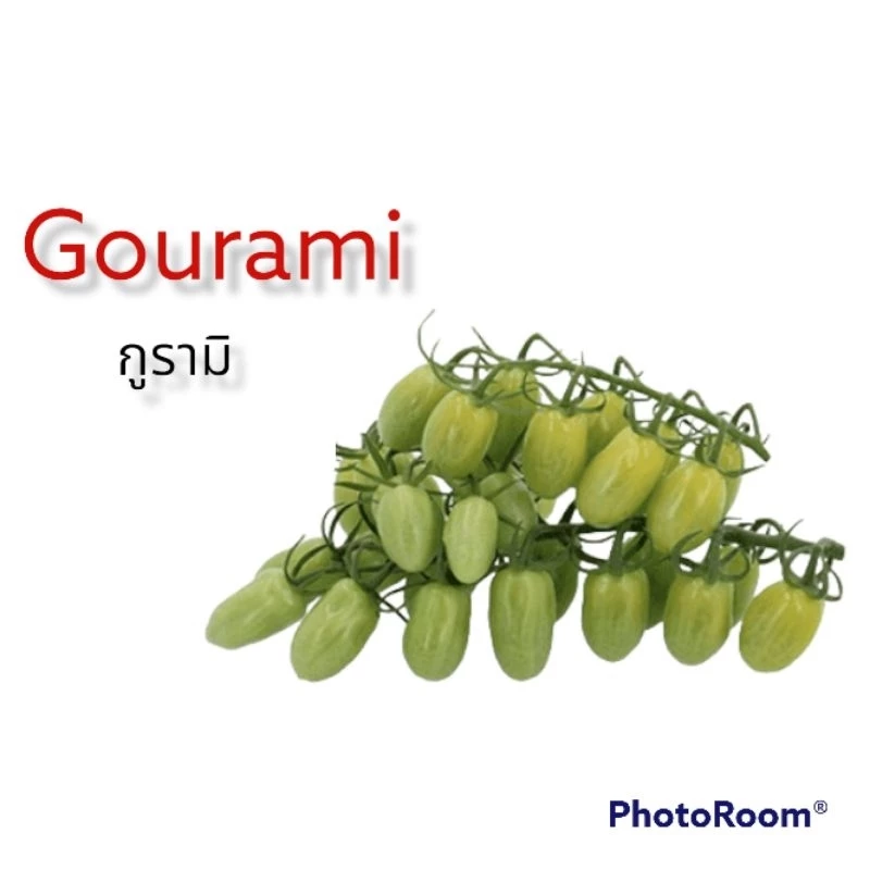 มะเขือเทศสีเขียว พันธุ์กูรามิ (Gourami)