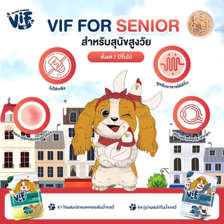 ถูกที่สุด🔥 Felina Canino VIF เฟลินา คานิโน วิฟ อาหารเปียกสุนัข 75 g x12ซอง