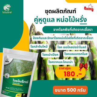 กำจัดโรคพืชที่เกิดจากเชื้อรา ใน หน่อไม้ฝรั่ง เร่งฟื้นฟูจากการเข้าทำลายของเชื้อราไตรโครเร็กซ์ปุ๋ยน้ำอะมิโนโดยไดโนเร็กซ์