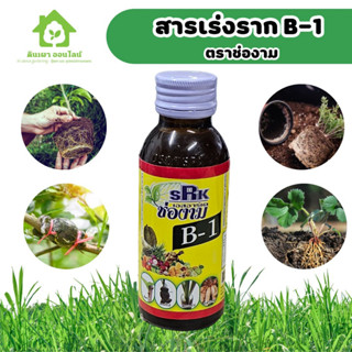 บี1 B1 สารเร่งราก น้ำยาเร่งราก บำรุงราก รากเดินดี