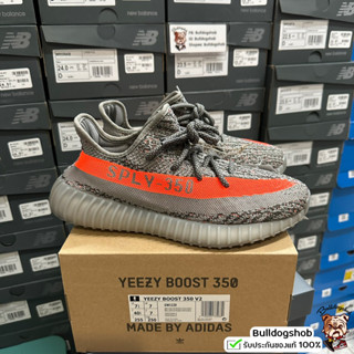 Adidas รองเท้า Yeezy Boost 350 V2 Beluga Reflective GW1229 - แท้/ป้าย