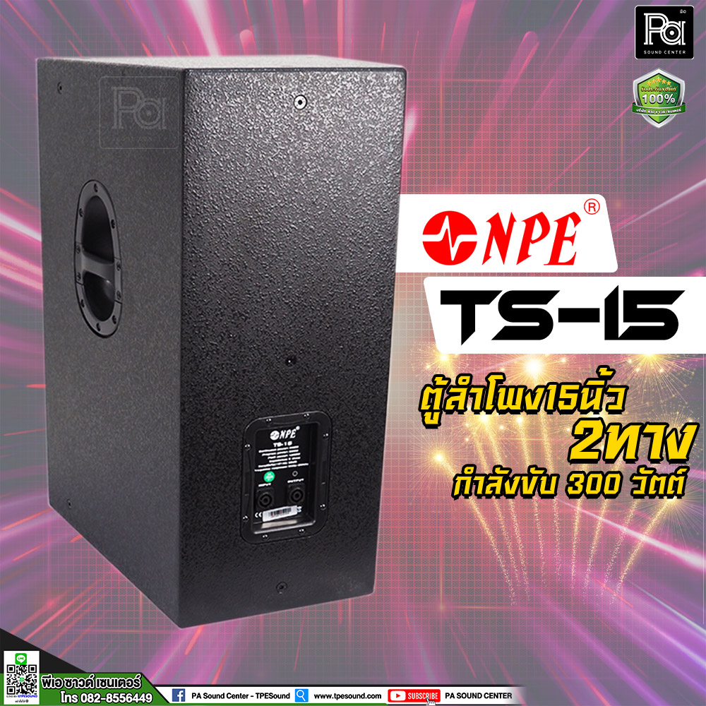 NPE TS-15 ตู้ลำโพง 15 นิ้ว 2 ทาง 300 วัตต์ ตู้ลำโพง15 ตู้ลำโพงไม้แท้ TS 15 ตู้ลำโพง Passive TS15