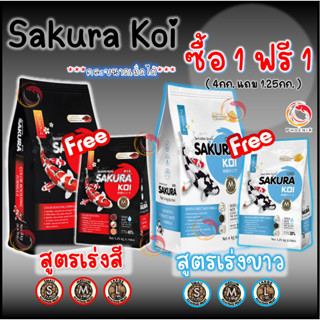 🔴ซื้อ1แถม1⚪อาหารปลาคาร์ฟ Sakura Koi (ซากุระ โค่ย) สูตรเร่งสี/สูตรเร่งขาว ขนาดถุง 4 กก. แถมฟรี ถุง 1.25 กก.