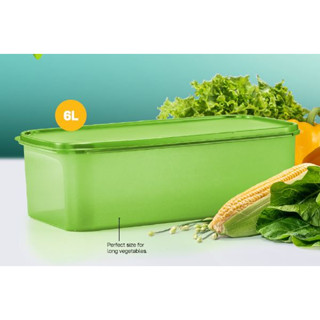 Tupperware กล่องเก็บของในตู้เย็น กล่องเก็บผัก ผลไม้ ส่งจากไทยไม่ต้องรอของนาน ของเเท้