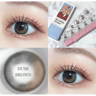 🪻พร้อมส่ง Hapa Kristin Secretive Kristin 1Day #Dusk brown