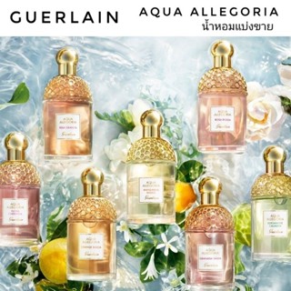 แบ่งขาย Aqua Allegoria - Ginger Piccante, Herba Fresca, Pamplelune, Teaazzura (decant)