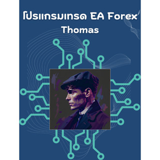 โปรแกรม EA Thomas MT4