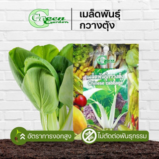 เมล็ดพันธุ์กวางตุ้ง (Chinese cabbage) Green Garden