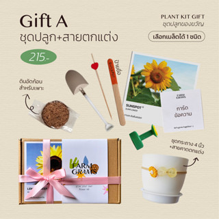 ชุดปลูกดอกไม้ เซตของขวัญ Gift A