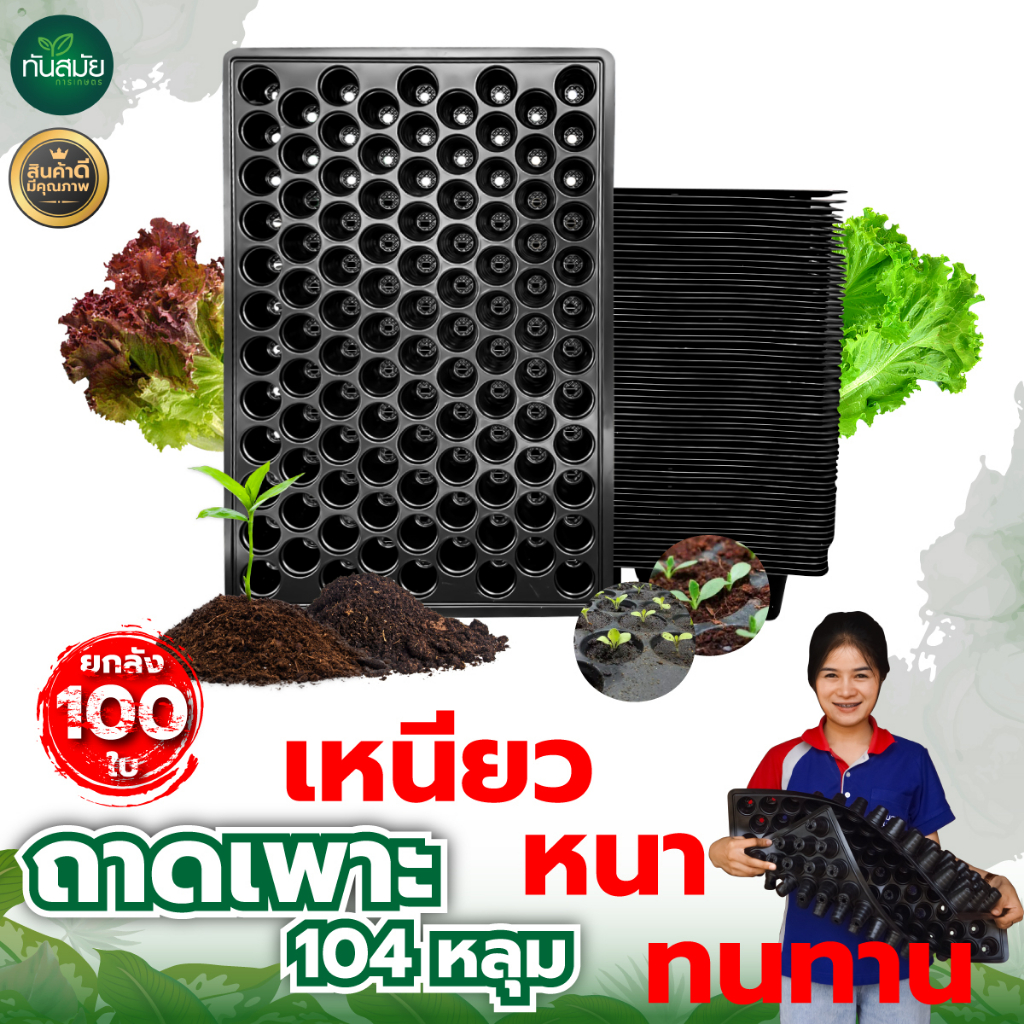 ถาดเพาะ 104หลุม (ยกลัง100ใบ) ถาดเพาะกล้า หนา ทนทาน ใช้เพาะปลูกได้หลายรุ่น เพาะปลูกต้นกล้า พร้อมส่ง