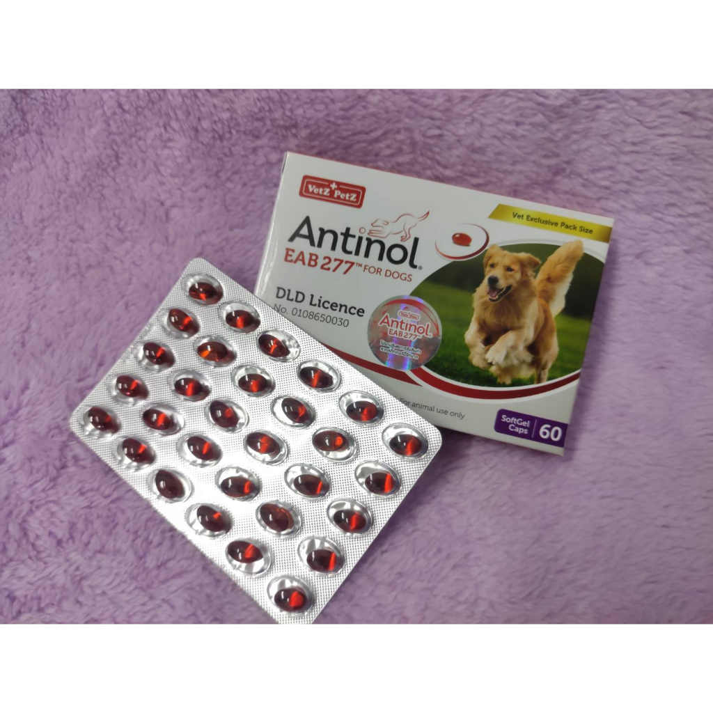 หมดอายุ 5/27 Antinol ช่วยบำรุงข้อ กระดูก ขน ผิวหนัง และไต(แบ่งขาย 30 caps ) (1 กล่อง 60 caps) สำหรับสัตว์เลี้ยง