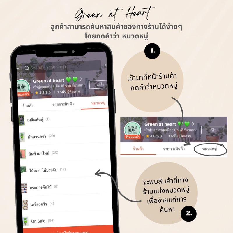 ต้นแคขาว ต้นแคแดง แคพันธุ์เตี้ย ในถุงดำ 3.5 x 7 นิ้ว - รูปที่ 3