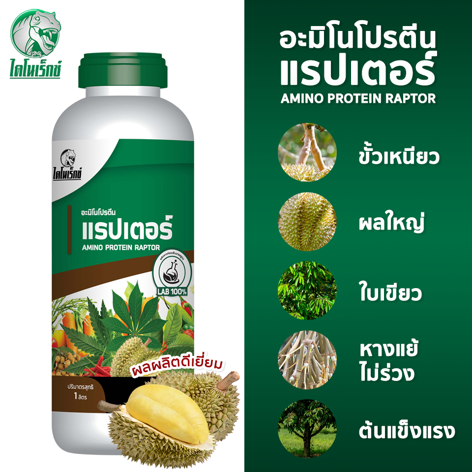 ปุ๋ยน้ำ [อะมิโนโปรตีนแรปเตอร์] อะมิโน 20ชนิดจำเป็นต่อพืช พืชดูดซึมไว ใช้ได้ทันที เสริมสร้างเซล์พืช ใบเขียว บรรจุ 1 ลิตร